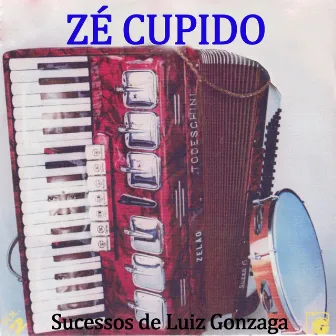 Sucessos de Luiz Gonzaga: Vol.2 by Zé Cupido