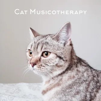 Cat Musicotherapy: Relaxing Mmusic With Calming Effect for Cats and Kittens by Kitty Lullabies Music Collection