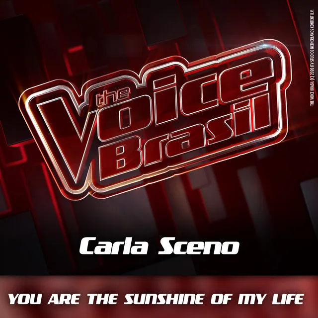 You Are The Sunshine Of My Life - Ao Vivo