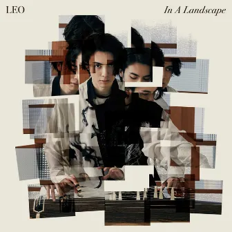 In a Landscape by LEO