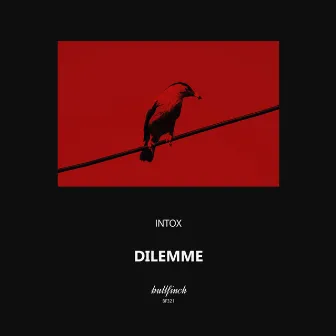 Dilemme by Intox