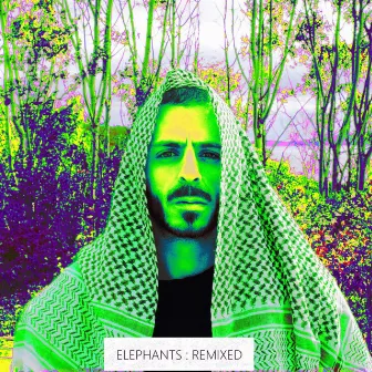 Elephants : Remixed by Mother Tareka