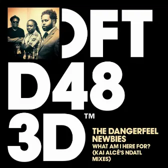 What Am I Here For? (Kai Alcé's NDATL Remixes) by The Dangerfeel Newbies