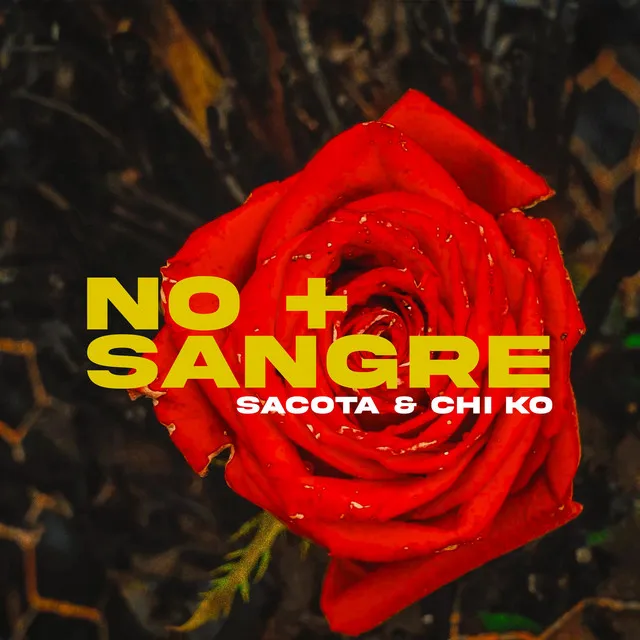 No + sangre - Radio Edit