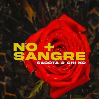 No + sangre (Radio Edit) by Sacota