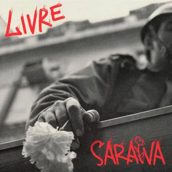 Livre by saraiva