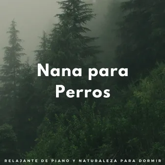 Nana Para Perros: Ambiente Relajante De Piano Y Naturaleza Para Dormir by Música de ansiedad por separación de perros