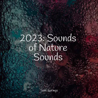 2023: Sounds of Nature Sounds by Music to Relax in Free Time