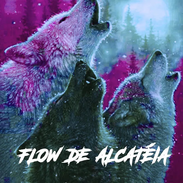 Flow de Alcatéia