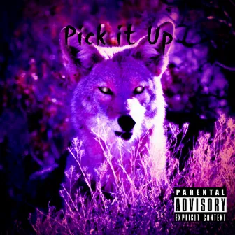 Pick It Up by Kayote