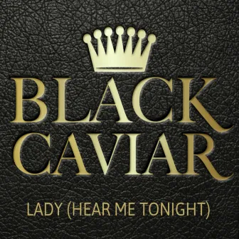 Lady (Hear Me Tonight) by Black Caviar