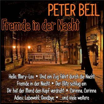 Fremde in der Nacht by Peter Beil