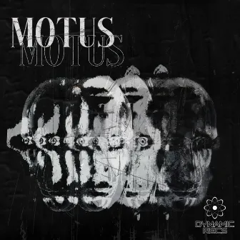 Motus by Looper (ARG)