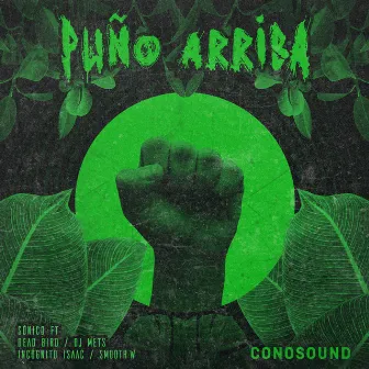 Puño Arriba by CONOSOUND