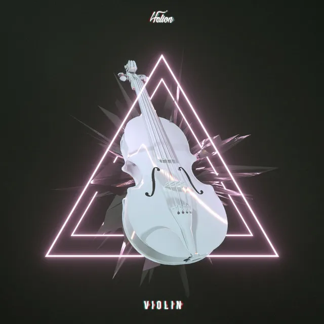 Violin