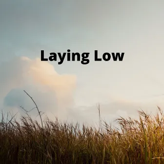 Laying Low by Unknown Artist