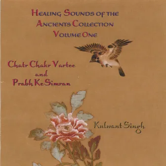 Healing Sounds of the Ancients Vol. One by Kulwant Singh