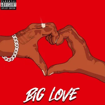 Big Love by Sho Shallow