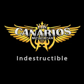 Indestructible by Los Canarios De Michoacan