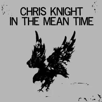 In the Mean Time by Chris Knight