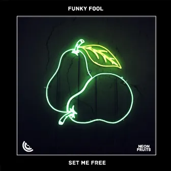 Set Me Free by Funky Fool