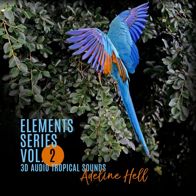 Elements Series: Vol. 2, 3D Audio Tropical Sounds