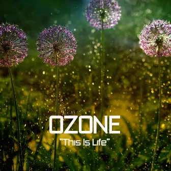 This Is Life by Ozone