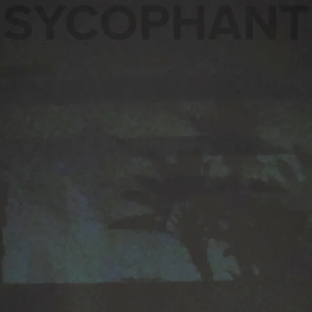 Sycophant