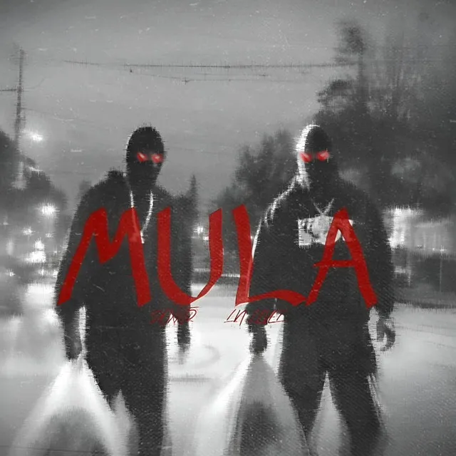 Mula