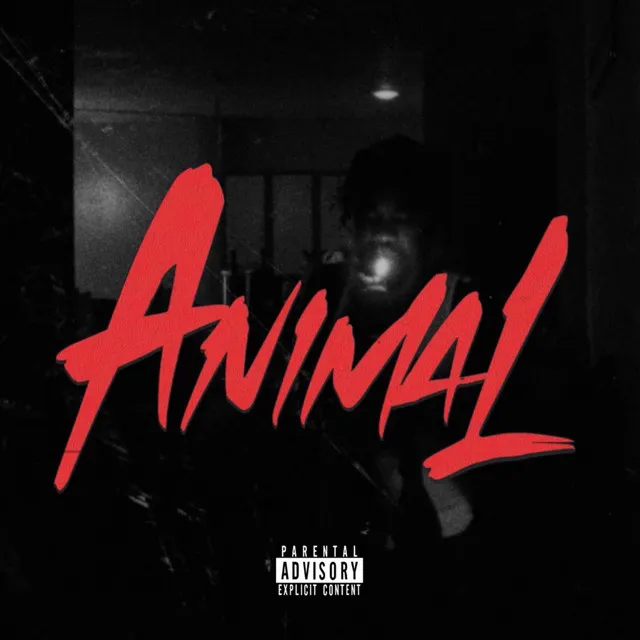 Animal