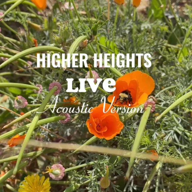 Higher Heights - Acoustic Version