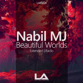 Beautiful Worlds by Nabil MJ