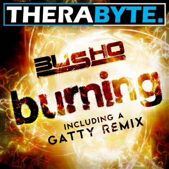 Burning by Busho