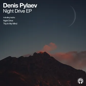 Night Drive by Denis Pylaev