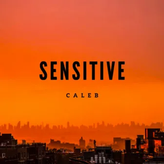 Sensitive by Caleb Daniel