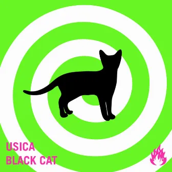 Black Cat by Usica