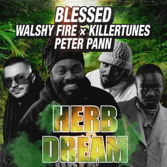 Herb Dream (Remix) by Blessed