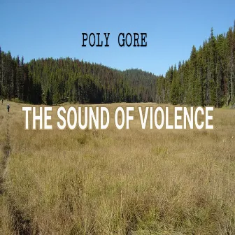 The Sound of Violence by Poly Gore