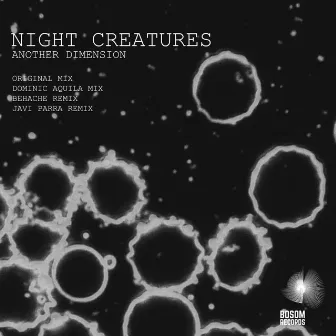 Another Dimension by Night-Creatures