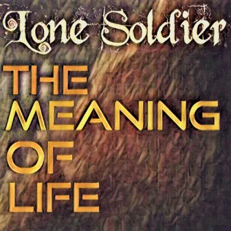 The Meaning of Life by Lone Soldier