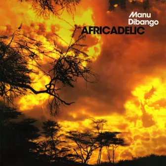 Africadelic by Manu Dibango