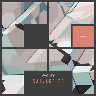 Salvage EP by Wailey