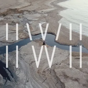 iiWii by Hillel Reiner