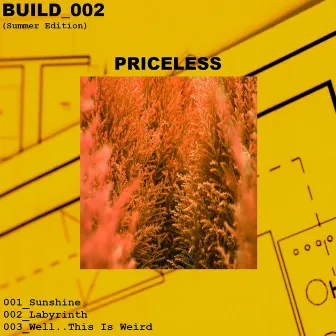 Build_002 (Summer Edition) by Priceless