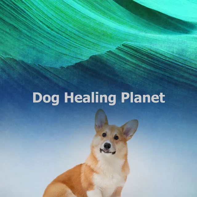 Dog Healing Planet