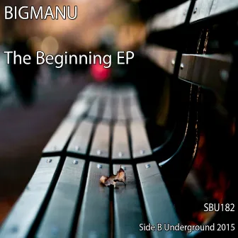 The Beginning EP by Bigmanu