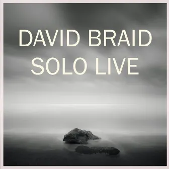 David Braid Solo Live by David Braid