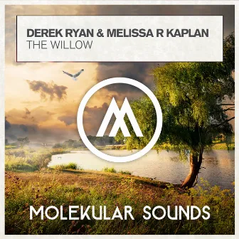 The Willow by Derek Ryan