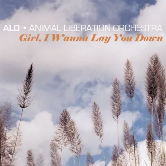 Girl, I Wanna Lay You Down by ALO