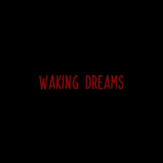 Waking Dreams (Original Soundtrack) by Rohin Alang